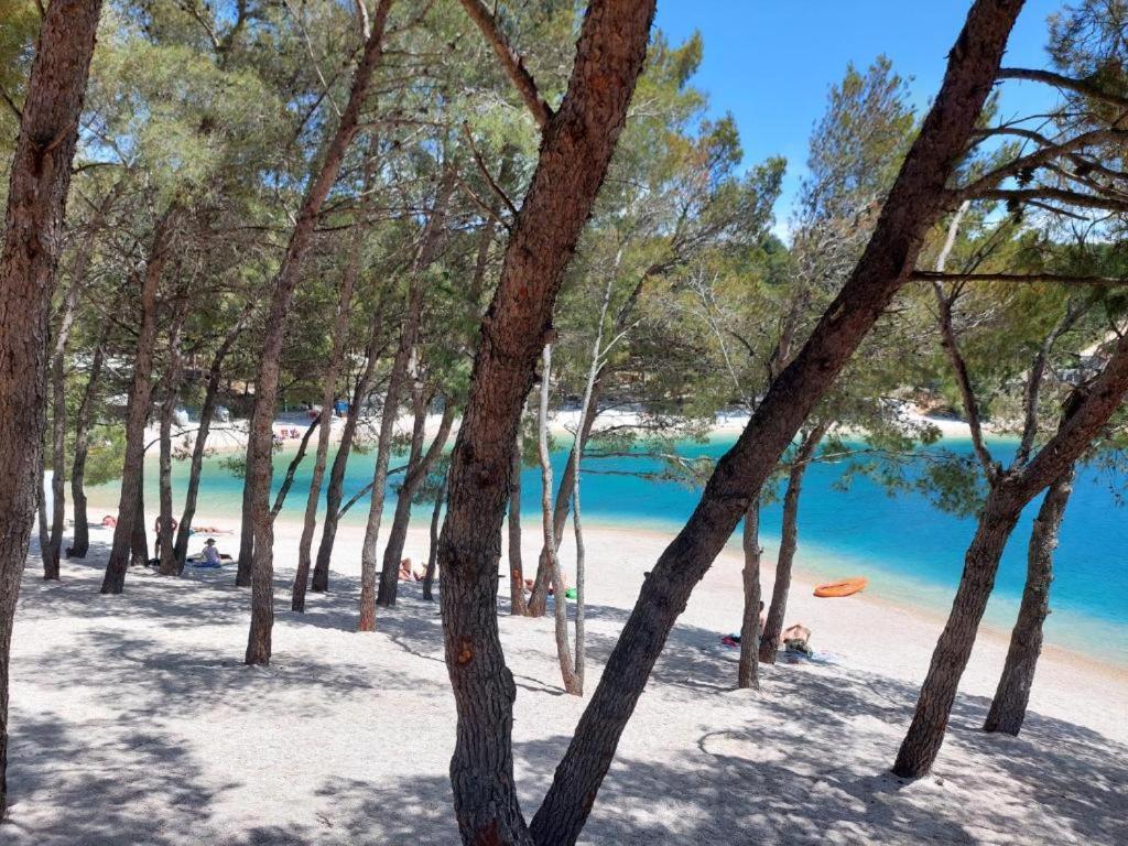 Luxury Mobile Home Pretty Green - Premium - Oaza Mira Resort -50 M From The Beach Drage Esterno foto
